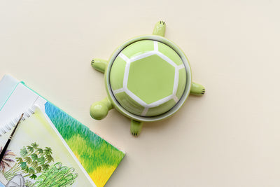 turtle paint set